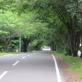 cycling-road-jun-30-2011_5887253903_o