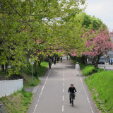 cycling-road-may-25-2011_5758670822_o