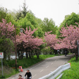 cycling-road-may-27-2011_5764674330_o