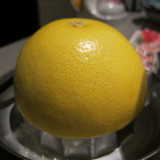 grapefruit_6153248556_o