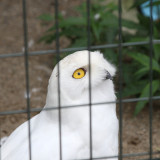 maruyama-zoo-001_4901256940_o