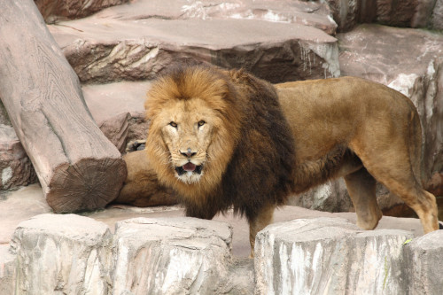 maruyama-zoo-005_4900676265_o.jpg