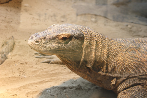 maruyama-zoo-007_4901287274_o.jpg