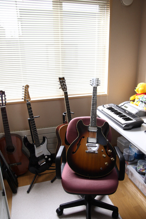 my-guitars_6316442653_o.jpg