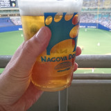 nagoya-dome-2_22081291276_o