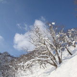 niseko-2010-16_4374978771_o