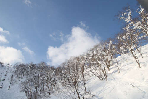 niseko-2010-17_4375729516_o.jpg