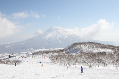 niseko-2010-8_4375722000_o.jpg