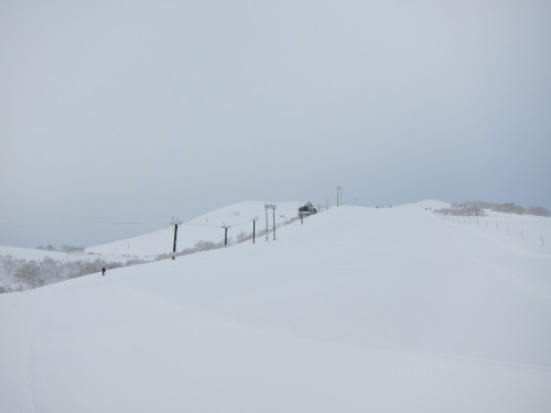 niseko-jan-2-2013-3_8341272376_o.jpg