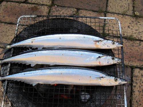 sanma-1_6180663160_o.jpg