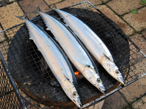 sanma-2_6180135769_o.jpg