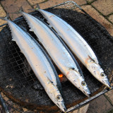 sanma-2_6180135769_o