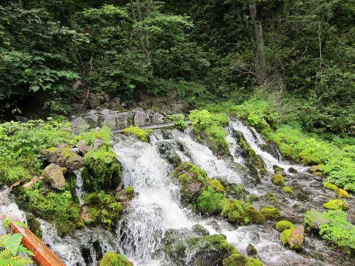 syakotan-and-niseko-aug-13-2013---35_9499636923_o.jpg