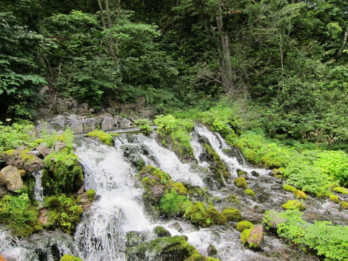 syakotan-and-niseko-aug-13-2013---37_9499634857_o.jpg